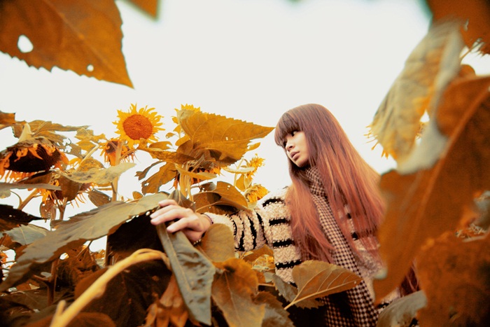 http://i.dcview.tw/gallery/201204/6a76a174602af96c7da951eaa1c04e63.jpg