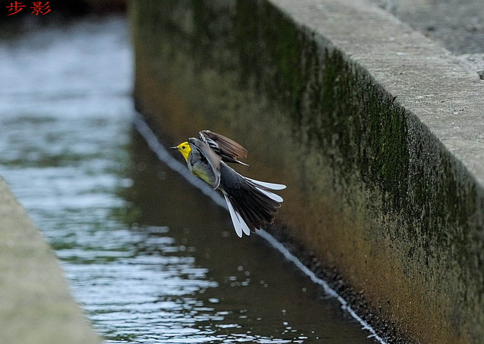 http://i.dcview.tw/gallery/201204/6a9302e8b7f8c646e24f1eb83cf182f4.jpg