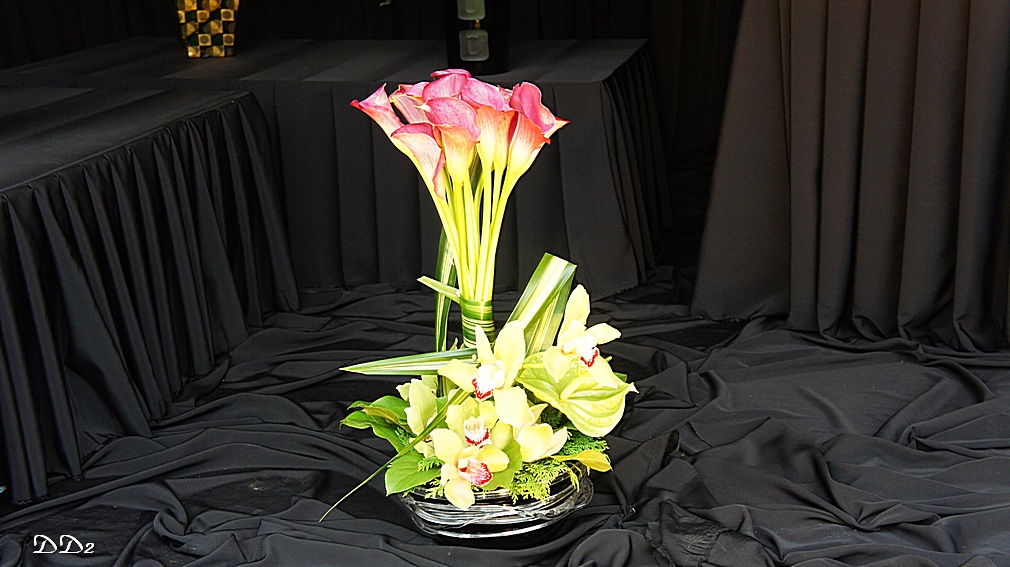 http://i.dcview.tw/gallery/201204/6a9d2bc0c884596d56b9230de324f9c9.jpg