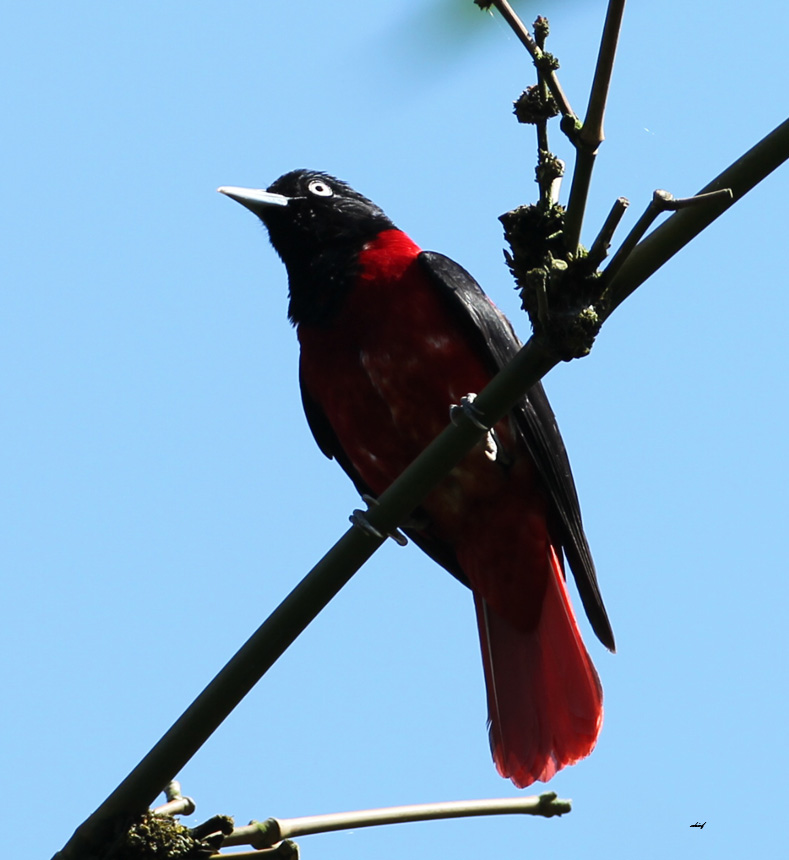 http://i.dcview.tw/gallery/201204/6a9f4b503892a1e092f4e433ff097f93.jpg
