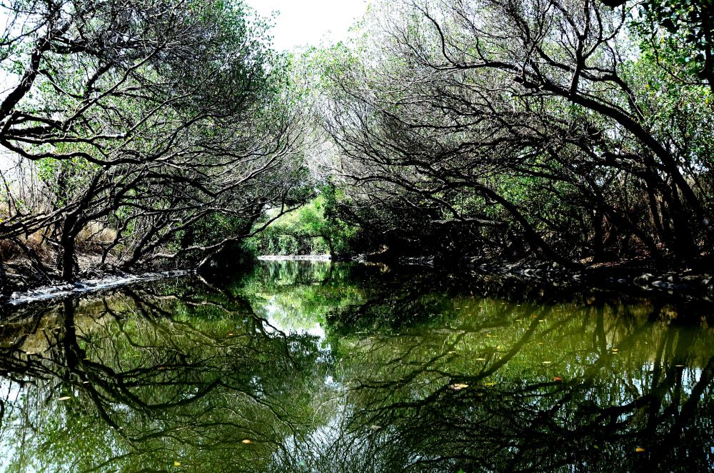 http://i.dcview.tw/gallery/201204/6c7c298693f2aab68a864726c18dadd3.jpg