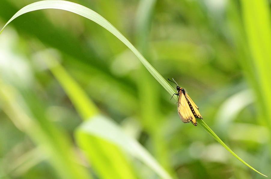 http://i.dcview.tw/gallery/201204/6d1625a9dc58a6ab80396001567d015e.jpg