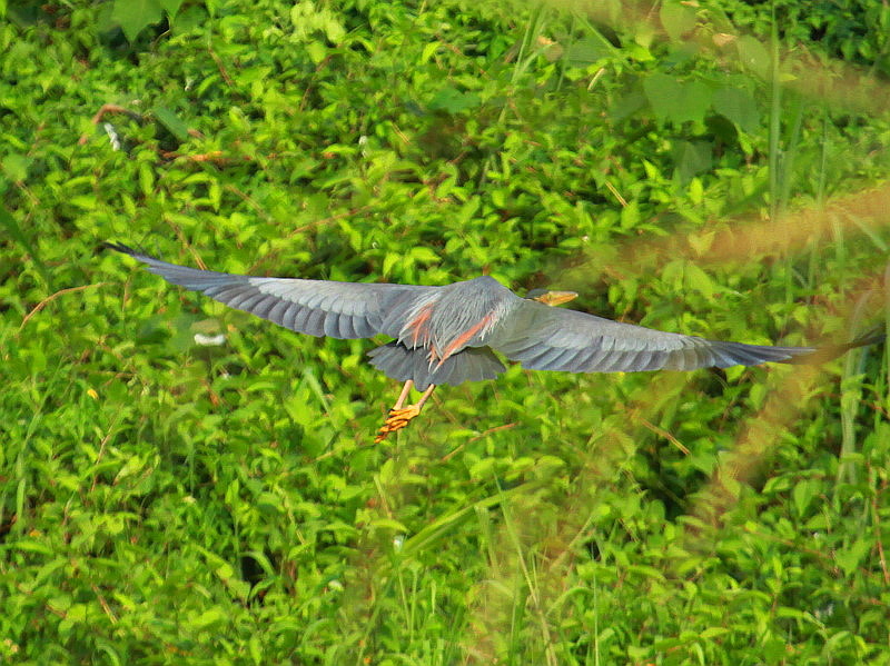 http://i.dcview.tw/gallery/201204/6e7d78831be4459633d48126d3416c69.jpg