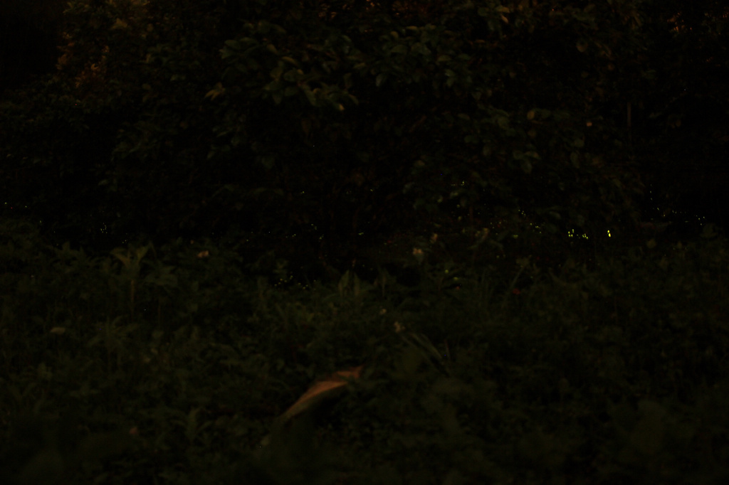 http://i.dcview.tw/gallery/201204/71b62184b4f48145b182c2c823094f93.jpg