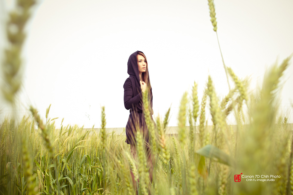 http://i.dcview.tw/gallery/201204/71e1c9c10f2da76658a70a8d0d4cd0bf.jpg