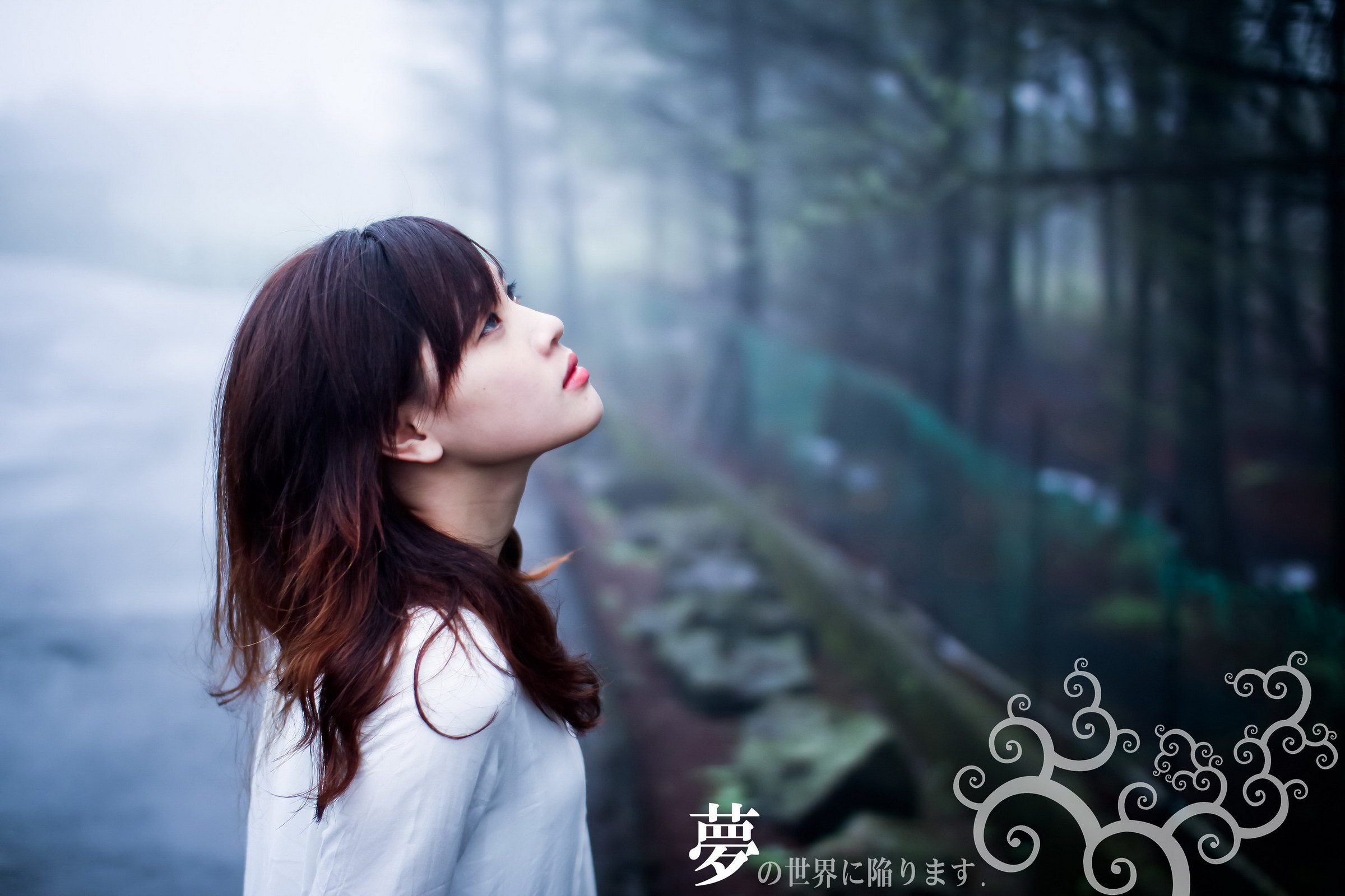 http://i.dcview.tw/gallery/201204/72cff0970fb1eeaf840570a2f7327917.jpg