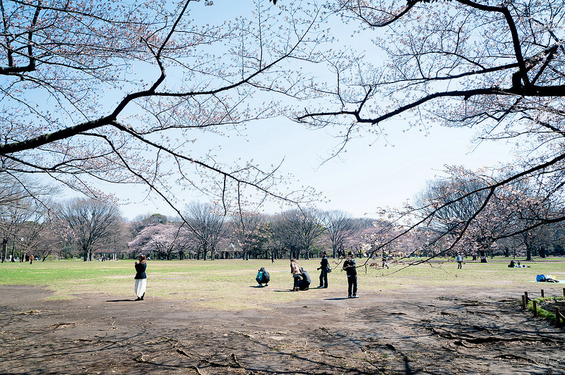 http://i.dcview.tw/gallery/201204/7e8ddde422e947a0cbd62ededf85041f.jpg