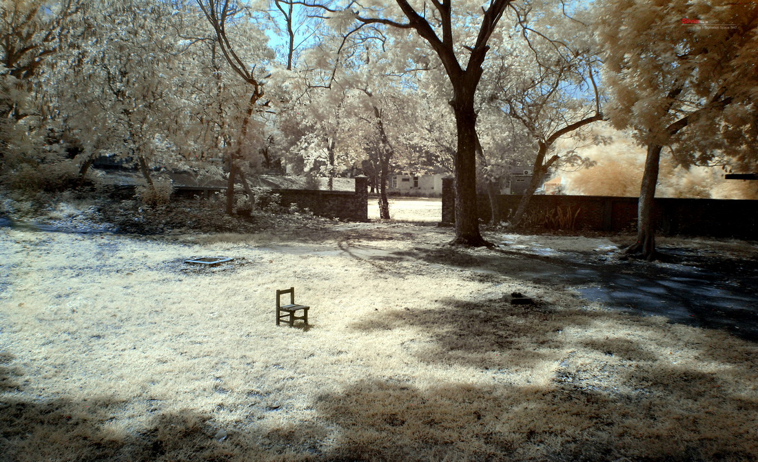 http://i.dcview.tw/gallery/201204/8229784a9d8950557c1b7c44694395e1.jpg