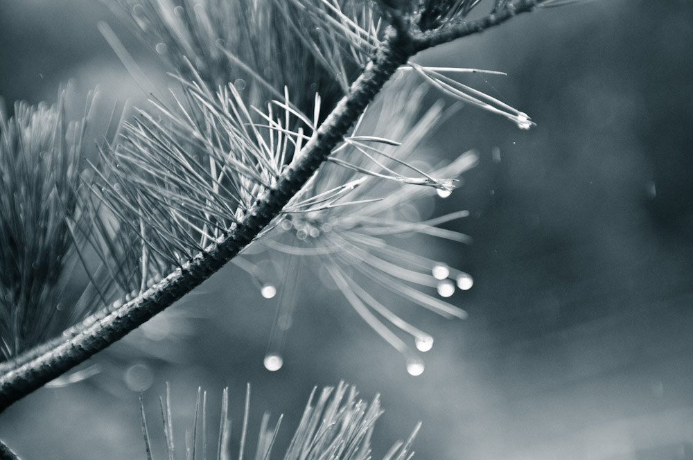 http://i.dcview.tw/gallery/201204/8286d0f9f9ba11bee897941be67c91a2.jpg