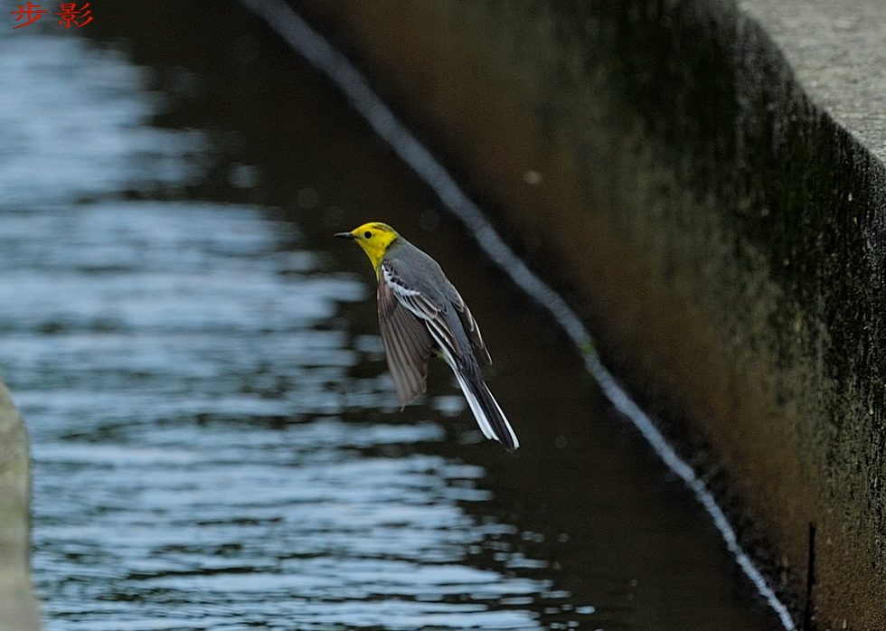 http://i.dcview.tw/gallery/201204/82ff09383fc894e5359be5e574532630.jpg