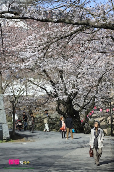 http://i.dcview.tw/gallery/201204/83812e4e2e2a715617515a02c95500d6.jpg