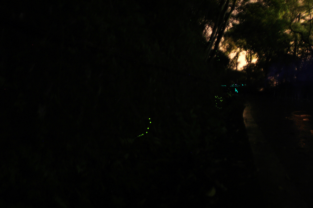 http://i.dcview.tw/gallery/201204/83f70270be66b936f0af5ea28689230e.jpg