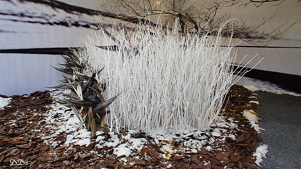 http://i.dcview.tw/gallery/201204/841d465ac59ef5ee7a315f576bf40002.jpg