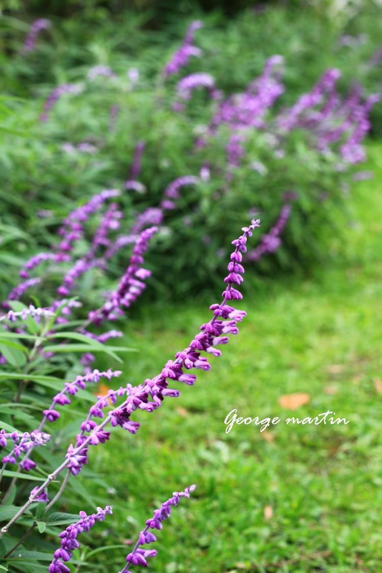 http://i.dcview.tw/gallery/201204/8473b857091680af4db5d86cd6d019ed.jpg