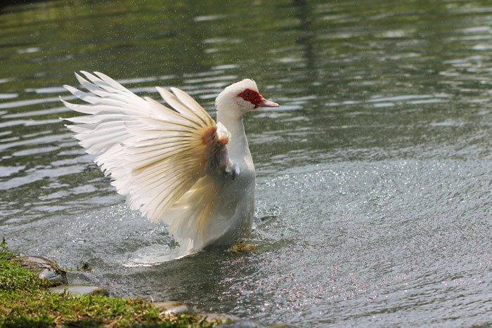 http://i.dcview.tw/gallery/201204/862c9c5536c7f5044f34912efb0e0982.jpg