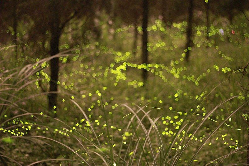 http://i.dcview.tw/gallery/201204/86b878b0e6f8e3f6ebfa44da083d09d1.jpg