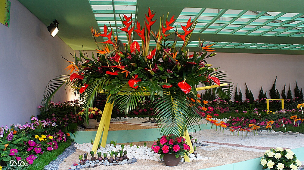 http://i.dcview.tw/gallery/201204/8820e0e5c898a22e8c9ef95c095fc141.jpg