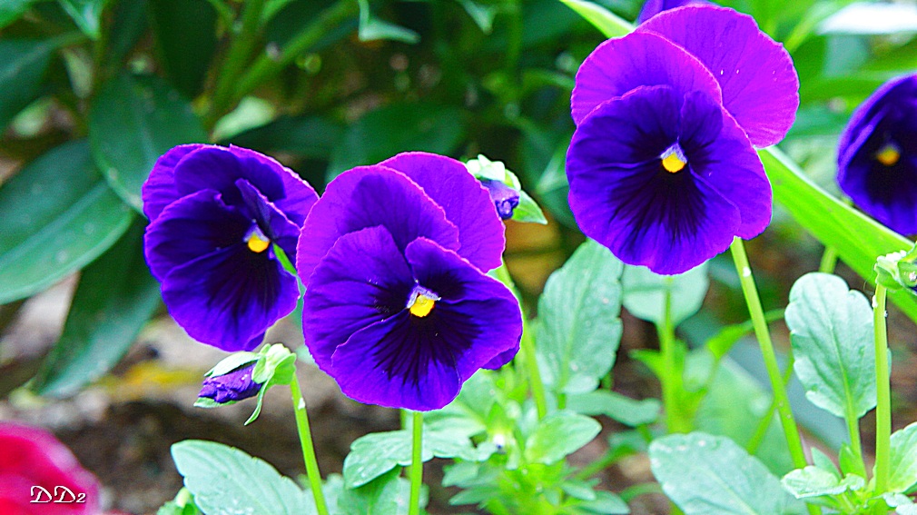 http://i.dcview.tw/gallery/201204/8ab3429cfc09bfe3ce31b764780c0678.jpg