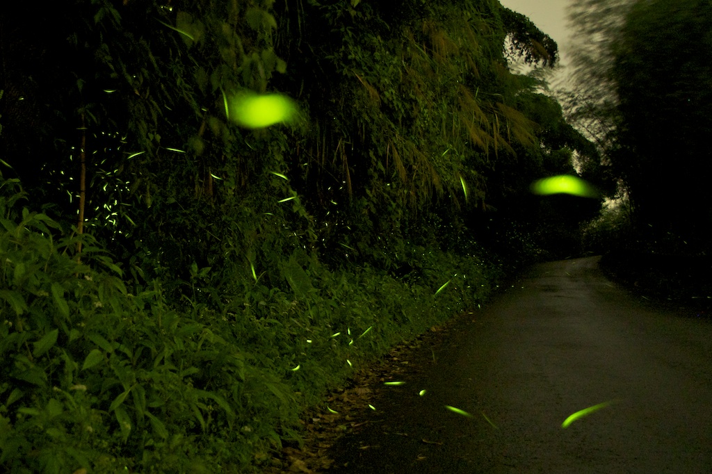 http://i.dcview.tw/gallery/201204/9473f0f6468ee6ff244a65763400ffc6.jpg
