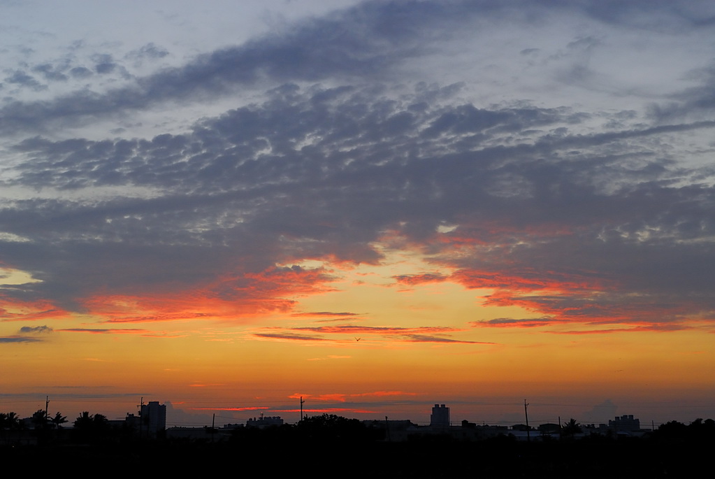 http://i.dcview.tw/gallery/201204/94aabc9dada16618f3b1f12f7bb0d089.jpg