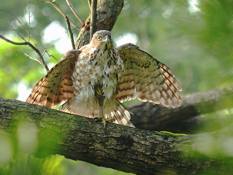 http://i.dcview.tw/gallery/201204/97513fd1f549adabd7f15dd0d049c7cb.jpg