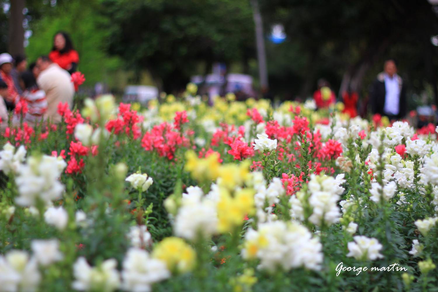 http://i.dcview.tw/gallery/201204/99a71e4e04ee95e16b276d0055770a9f.jpg