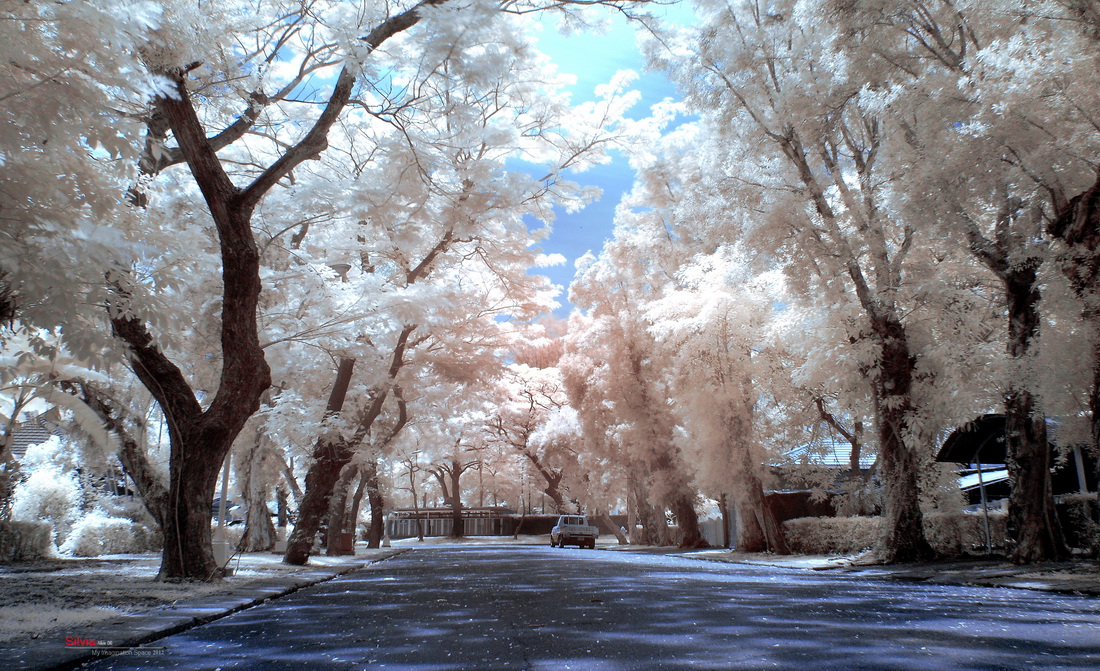 http://i.dcview.tw/gallery/201204/9a42a3587ccae5a8ba7cceaac63f95b2.jpg