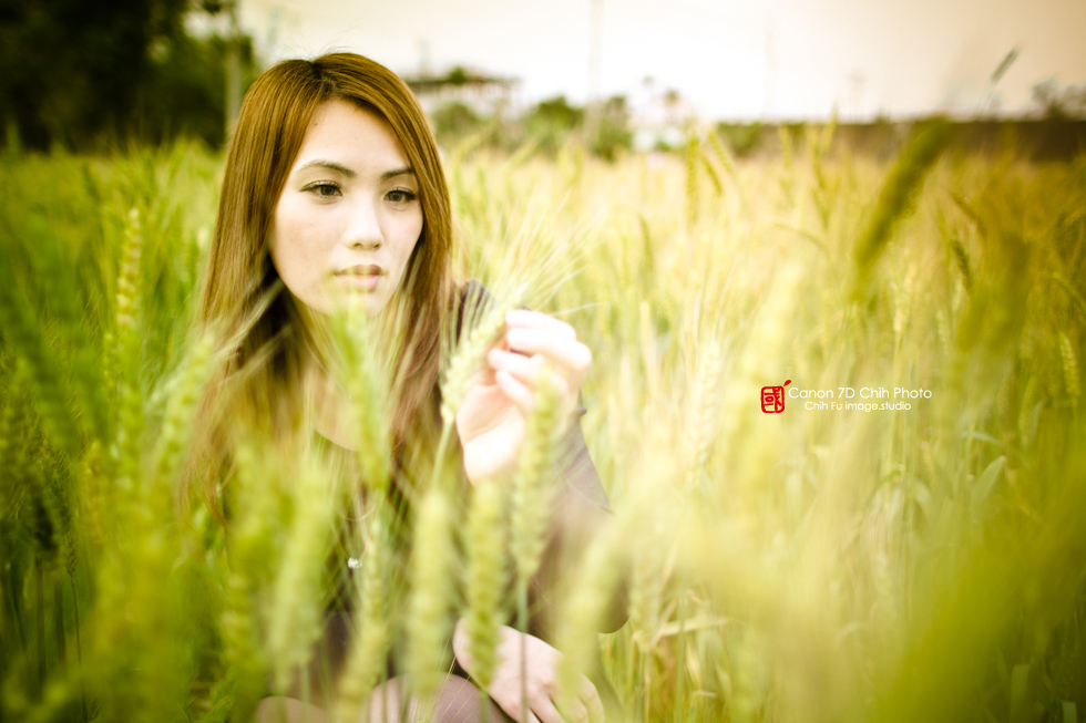 http://i.dcview.tw/gallery/201204/9c73d50f93a2d8402f3330cb9d486e7c.jpg