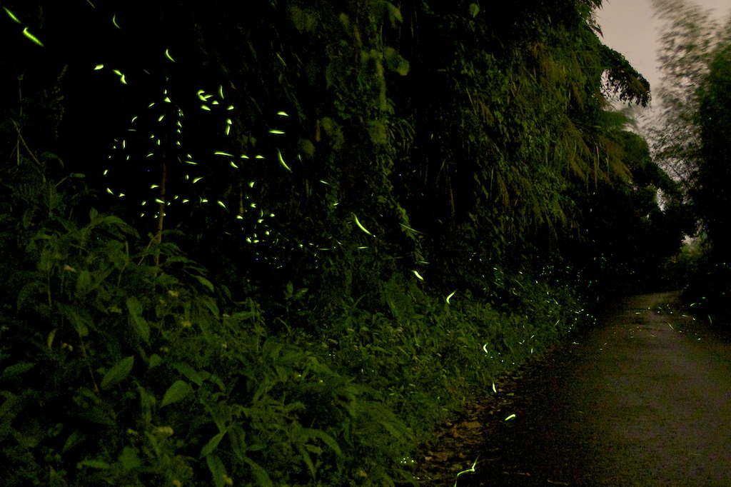 http://i.dcview.tw/gallery/201204/9cb1fde555ba555637b96d640806c9fa.jpg