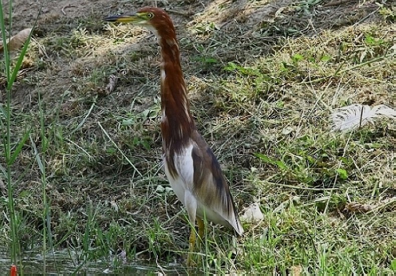 http://i.dcview.tw/gallery/201204/a11e5e06bb37ec84d70208b71c48b624.jpg