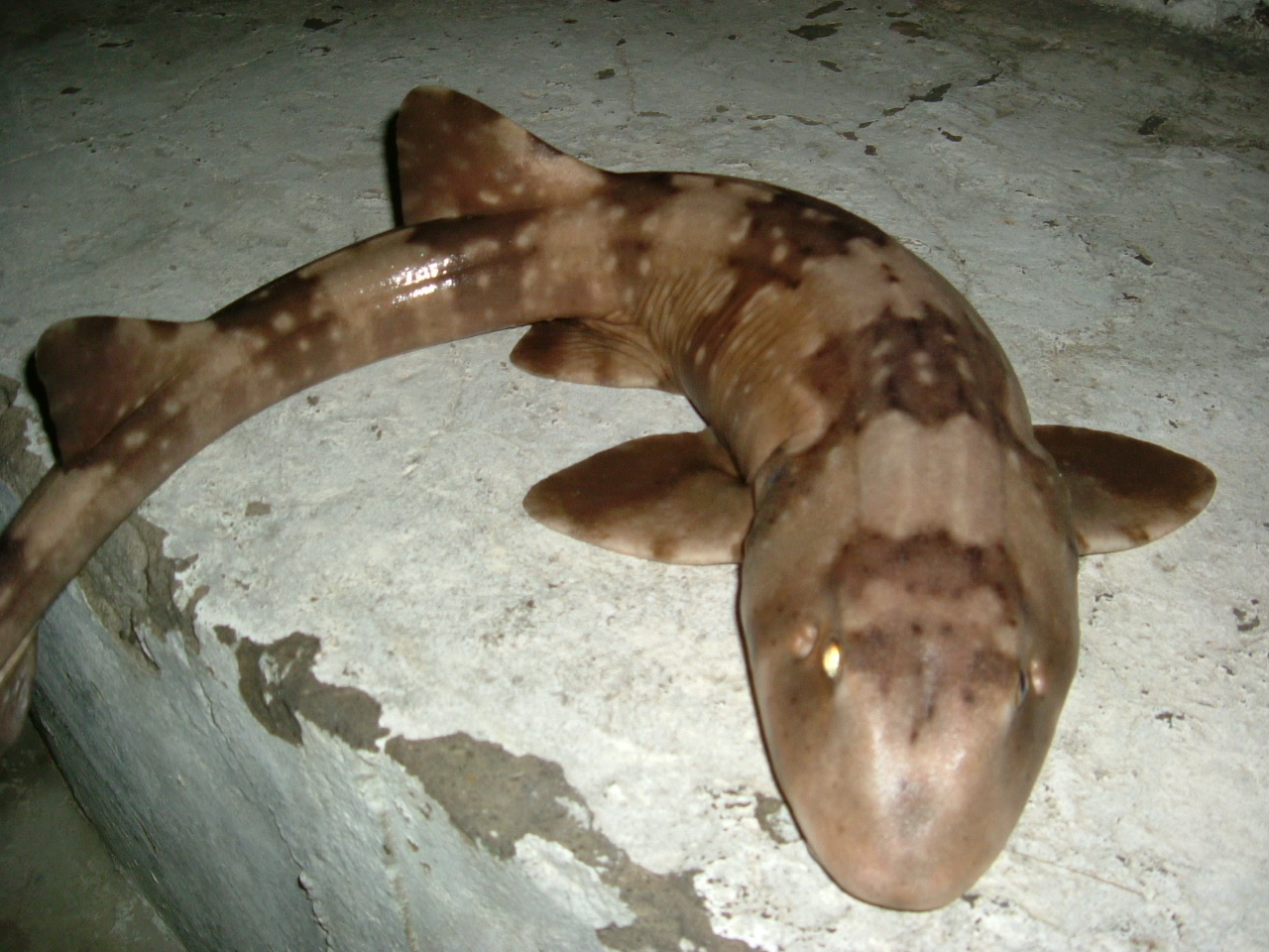 http://i.dcview.tw/gallery/201204/a1d86233eb9da7e048c82a79e50f7aac.jpg