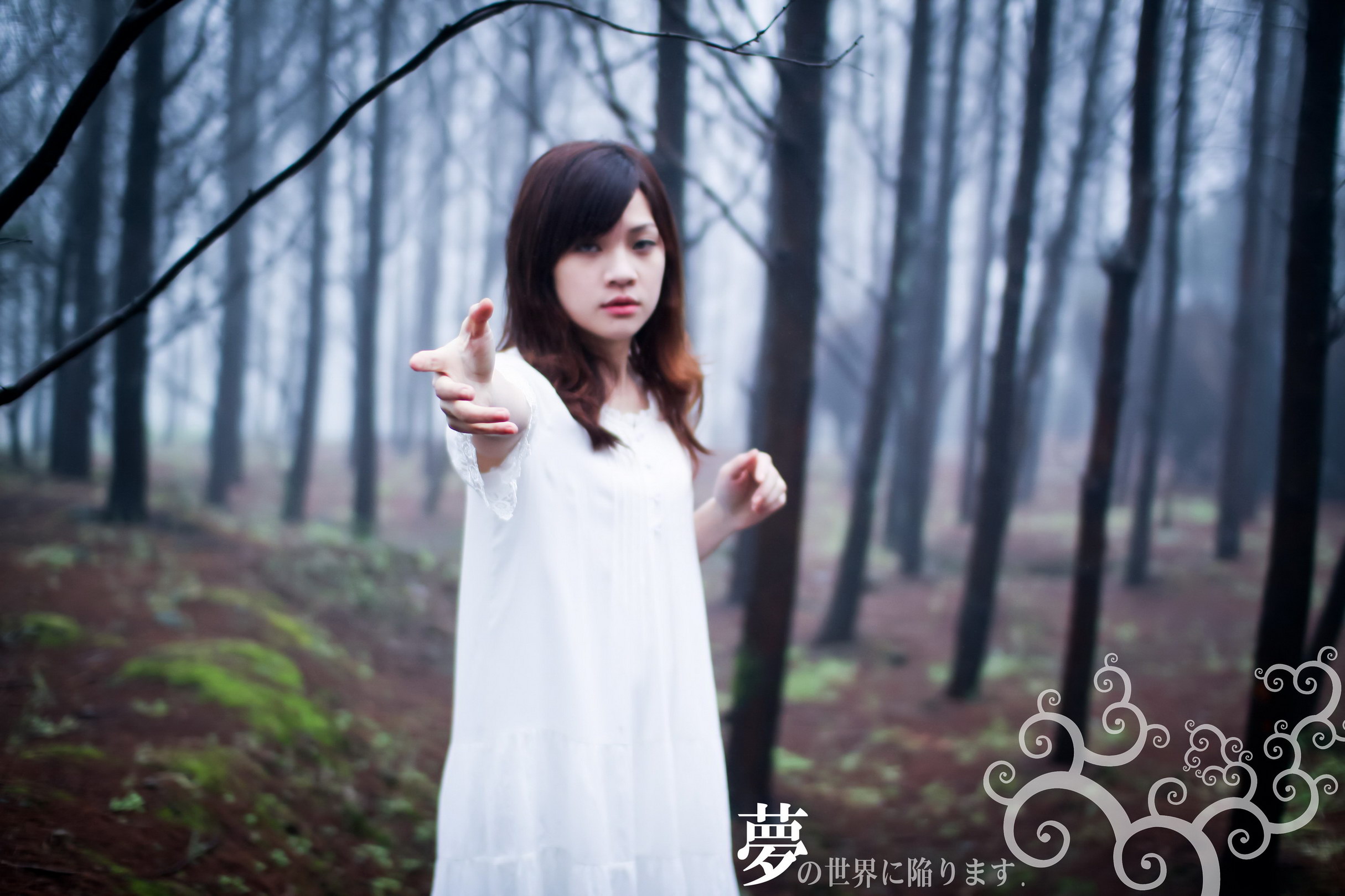 http://i.dcview.tw/gallery/201204/a3667a3d0f916b2ad403eb0492942e5f.jpg