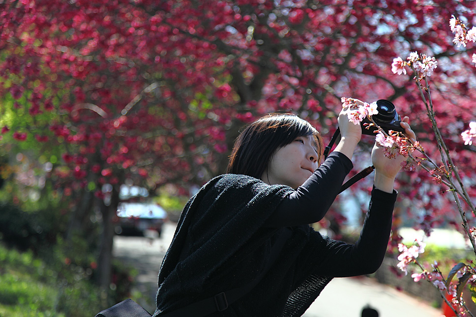 http://i.dcview.tw/gallery/201204/a55b90765511559610d0d9dd0691cff0.jpg