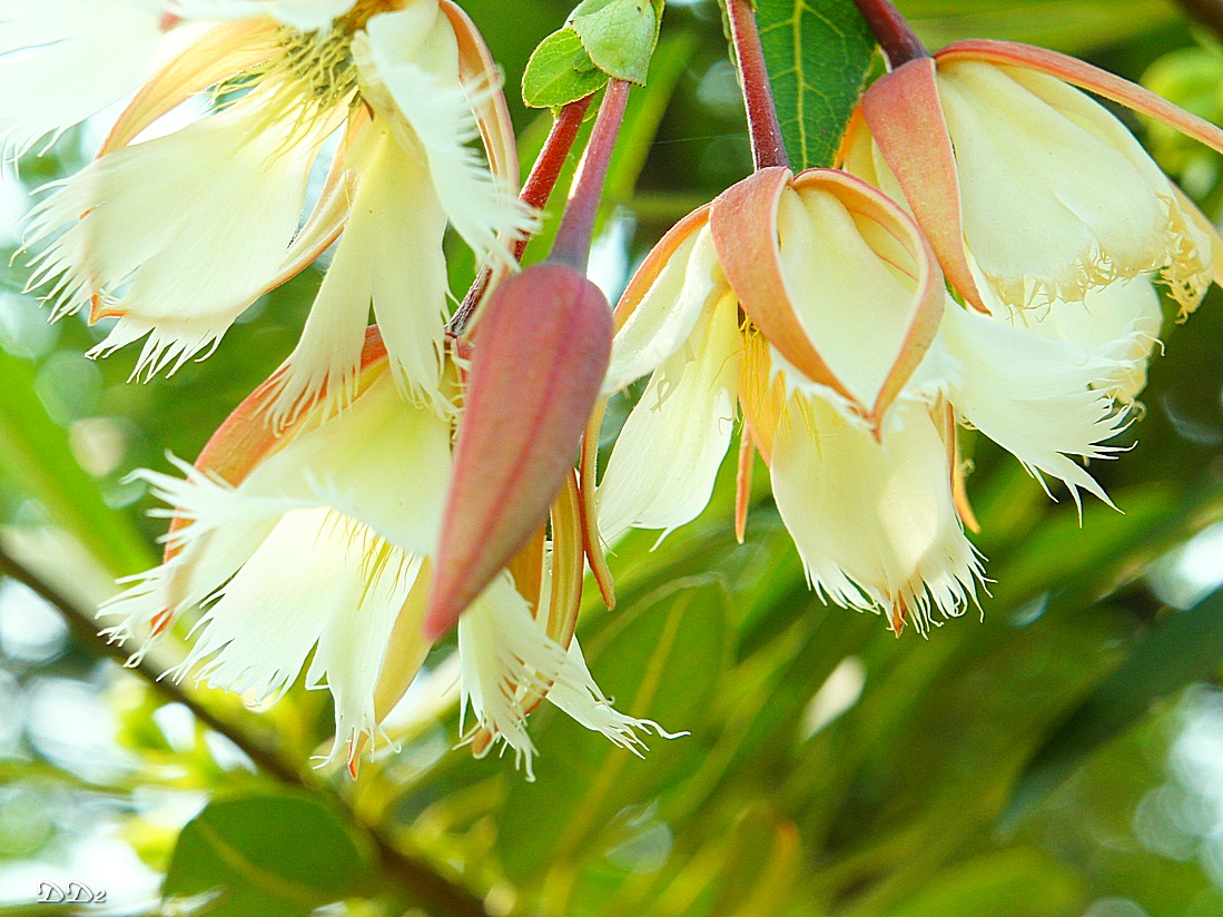 http://i.dcview.tw/gallery/201204/a5abe97a57d5c067ff5b6f8529704cf2.jpg