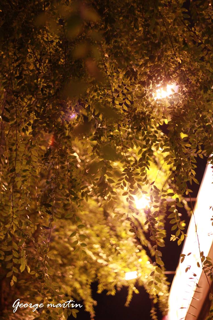 http://i.dcview.tw/gallery/201204/a6df794b7a9f1e74875d4936a0999be1.jpg