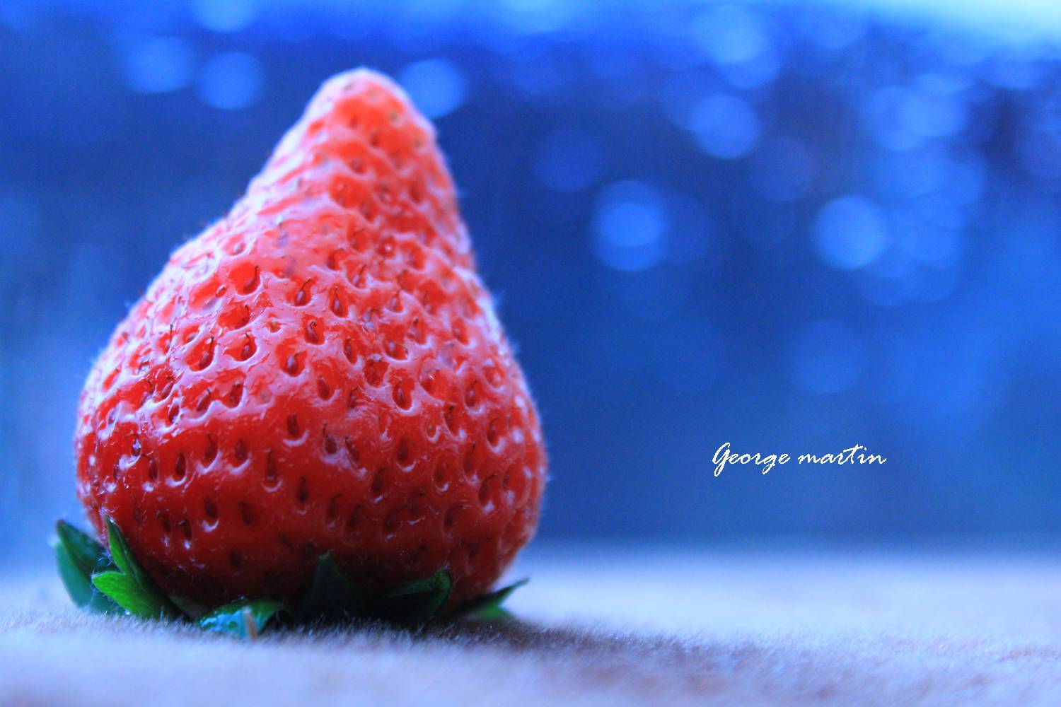 http://i.dcview.tw/gallery/201204/a81ae30bfeb55d75fb56a9b61ef566e9.jpg