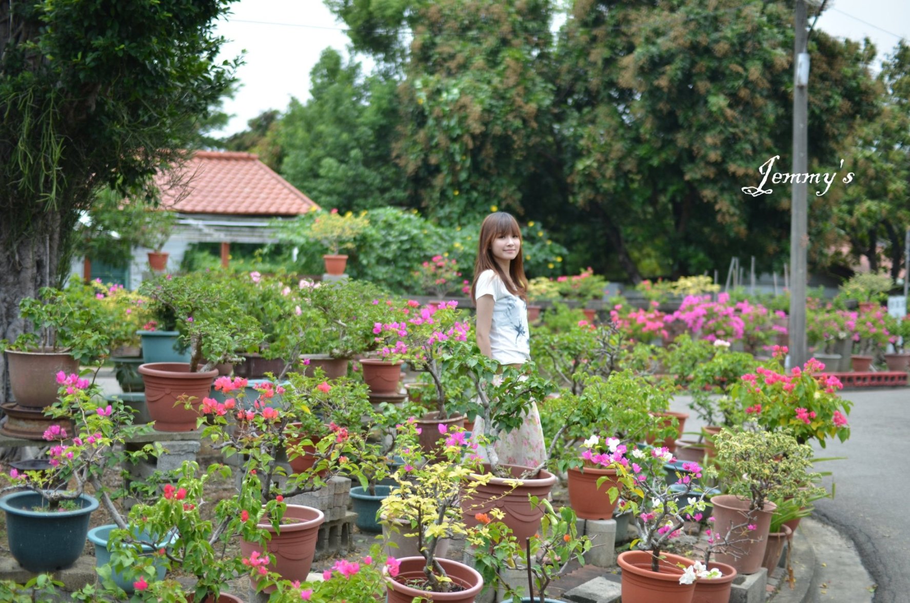 http://i.dcview.tw/gallery/201204/ab6a48c2ac2c09d6b0c78c8e557a92ff.jpg