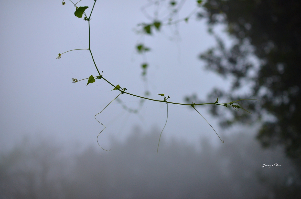 http://i.dcview.tw/gallery/201204/ab760df5862d3df8054131819299448e.jpg