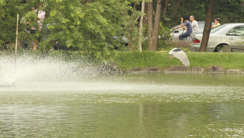 http://i.dcview.tw/gallery/201204/b0be4d7a1f6760c324e71381746a20d0.jpg