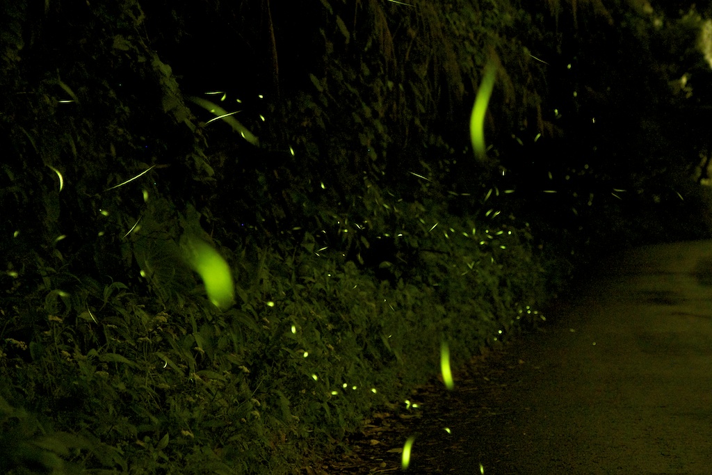 http://i.dcview.tw/gallery/201204/b362730bd5f295def88677655f55b0b6.jpg