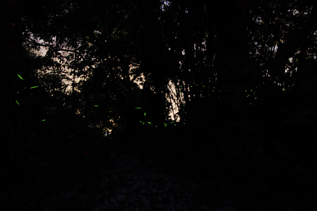 http://i.dcview.tw/gallery/201204/b397908ab481e1946b73c06711d91a2a.jpg