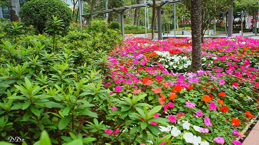 http://i.dcview.tw/gallery/201204/b4a31398ecd4cb308dcdbdbca506d20c.jpg