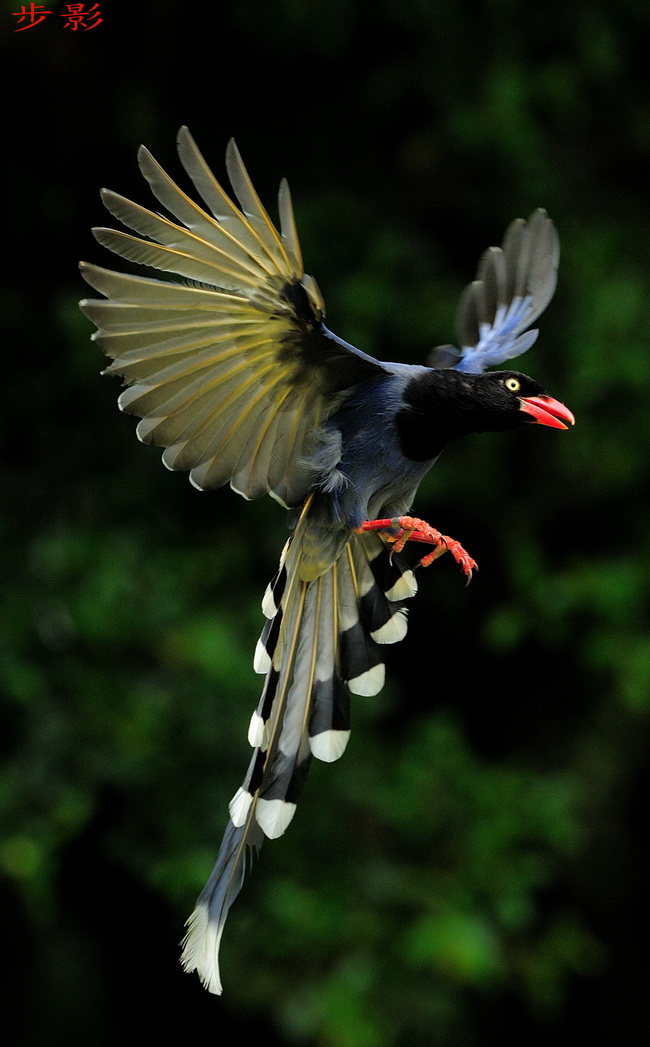http://i.dcview.tw/gallery/201204/b519584dc73a7d60bbaed97b9c0c6e14.jpg