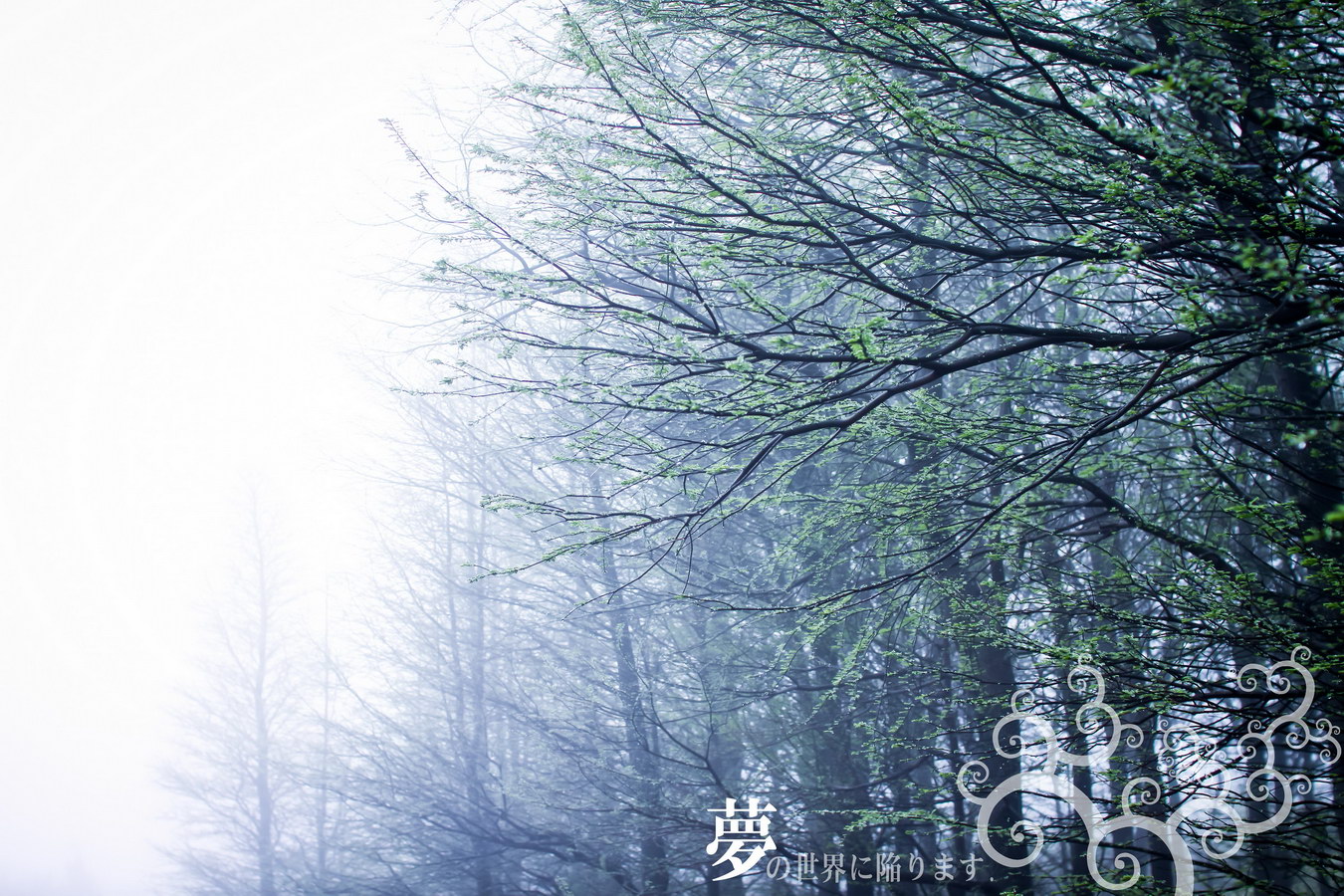 http://i.dcview.tw/gallery/201204/b573517174823e3a77fb9bf97048ef76.jpg