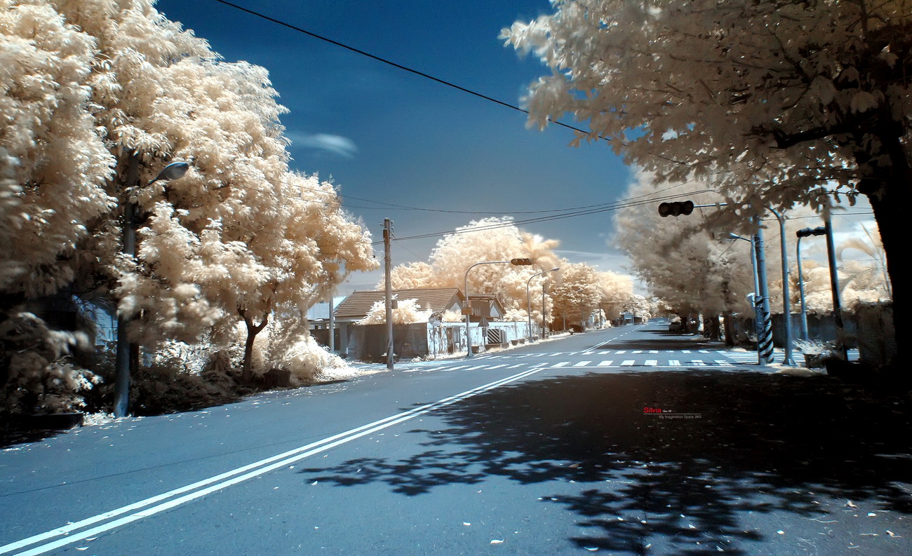 http://i.dcview.tw/gallery/201204/b5e480b1dbf5d99dd5bc282f743ea402.jpg