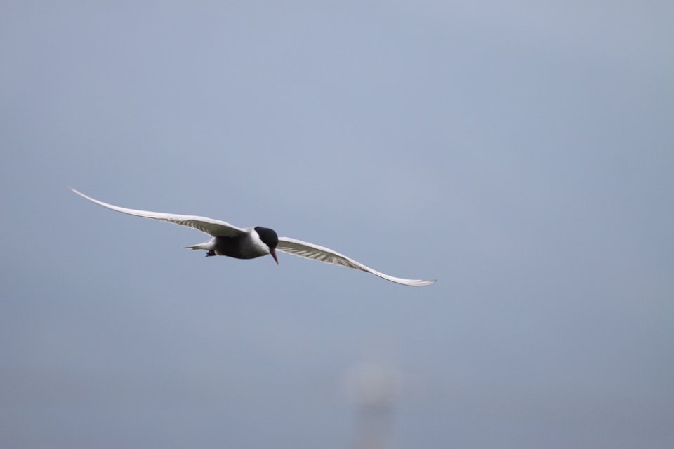 http://i.dcview.tw/gallery/201204/b69a57bdb09eac6186e2f1ee57af8750.jpg