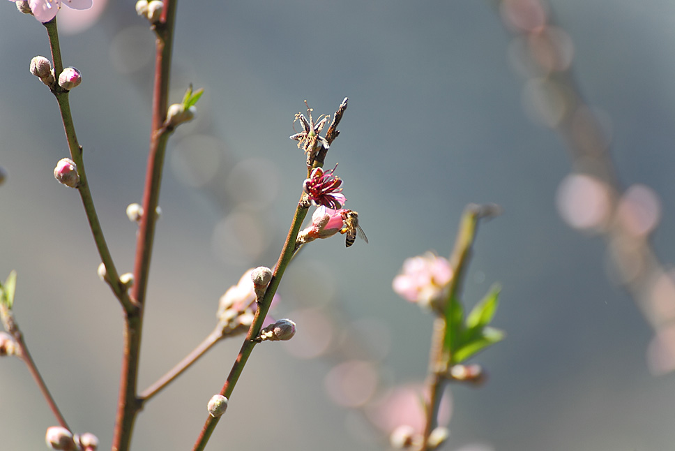 http://i.dcview.tw/gallery/201204/b6ee87e5d9f5f70a35d68fbe700eaafa.jpg