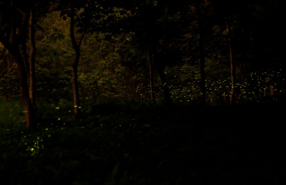 http://i.dcview.tw/gallery/201204/b8d8a876a288c28c3237412a7cd45f22.jpg