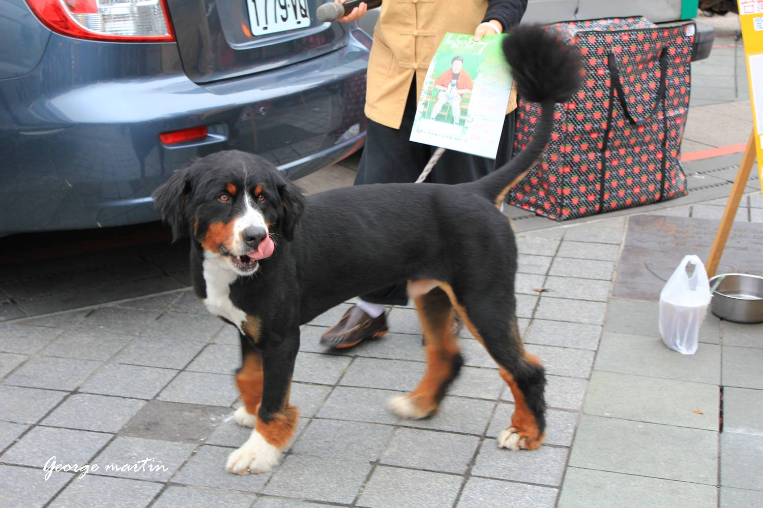 http://i.dcview.tw/gallery/201204/bff60d8c9a894fae2d0ac7a384d6390d.jpg