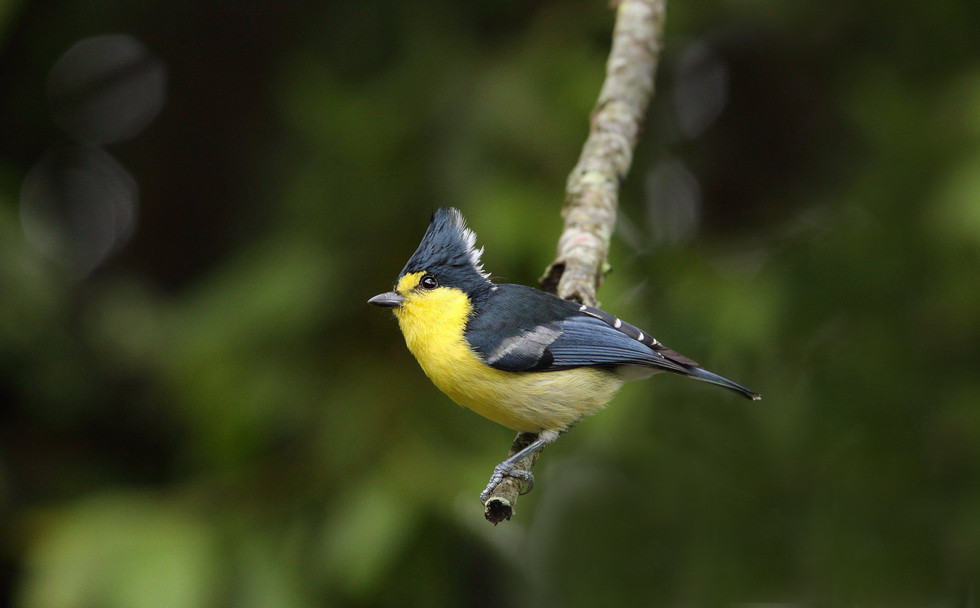 http://i.dcview.tw/gallery/201204/c6c33a4cdb52d69f7696ffa7f9ea0fce.jpg